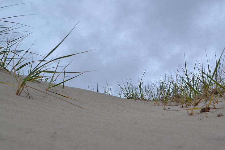 sand dunes, stranden, Sand, naturen, sanddyn