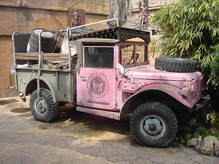 jungle, car, pink, transportation, side view, day, outdoors