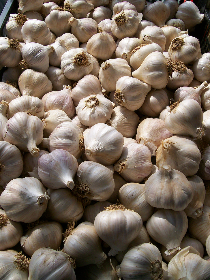 garlic basket, farmer's market, fresh, agriculture, food, ingredient, ripe