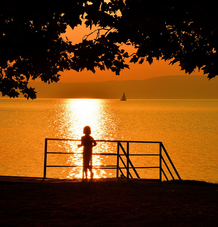 jezero balaton, u večernjim satima, zalazak sunca, djevojčica, sumrak, drvo, more