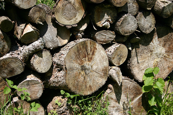 gỗ, củi, holzstapel, xẻ, rừng, timberyard, cọc gỗ