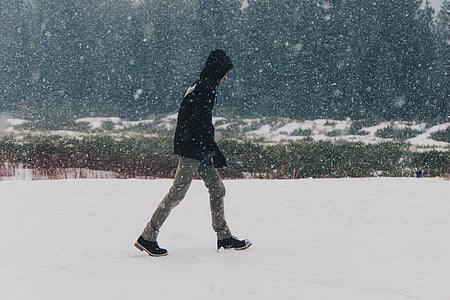 persona, usando, negro, Sudadera con capucha, caminando, cubierto de nieve, tiempo en