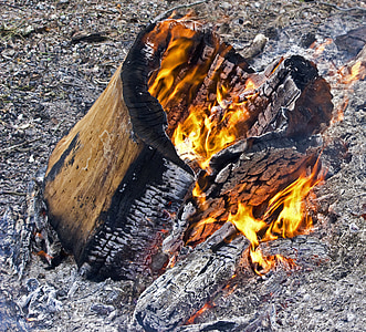 log požiaru, oheň, Burn, krb, palivové drevo, napaľovanie, drevo