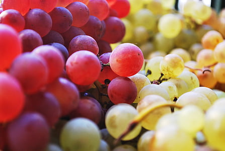 blur, közeli kép:, fókusz, élelmiszer, gyümölcs, szőlő, egészséges