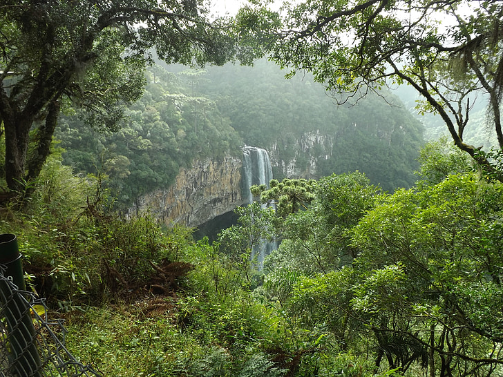 lasu, Wodospad, drzewa, zielony, krajobraz, roślinność, Mata atlantica