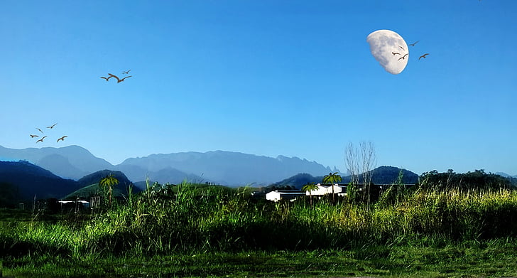 moon, mountains, serra, birds, nature, blue sky, landscape