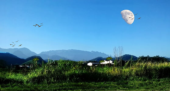 månen, fjell, Serra, fugler, natur, blå himmel, landskapet
