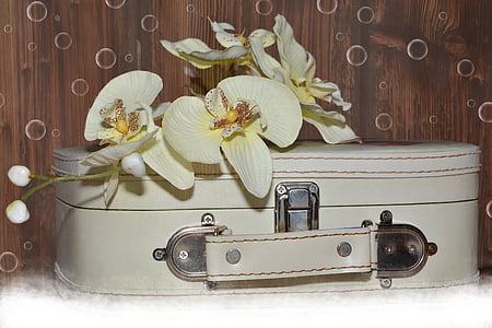 luggage, orchid, medal, flower, wood