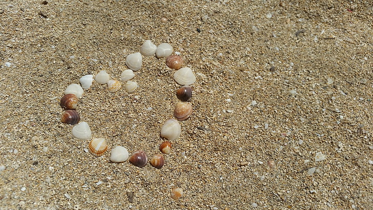 Shell, pasir, jantung, laut, liburan, Pantai, alam
