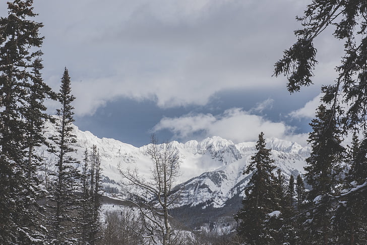 пейзаж, фотография, Гора, Обложка, снег, сосна, деревья