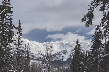 kraštovaizdžio, fotografija, kalnų, dangtelis, sniego, pušis, medžiai