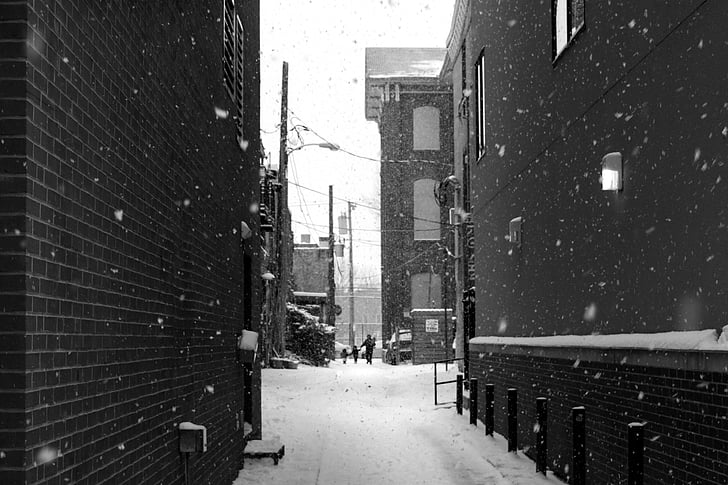 snijeg, Zima, bijeli, hladno, Vremenska prognoza, LED, ljudi