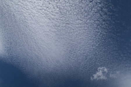 cirrocumulus skyer, blå, cirrocumulus lacunosus, himmelen, cirrocumulus