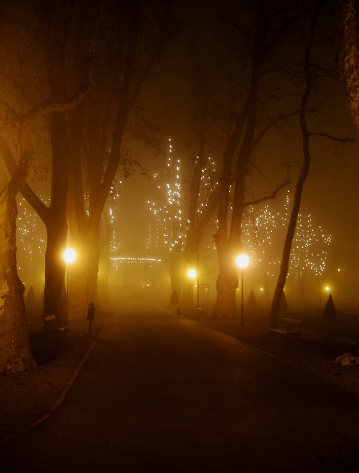 зимни, мъгла, парк, декоративни, лампи, светлини, разпространявани