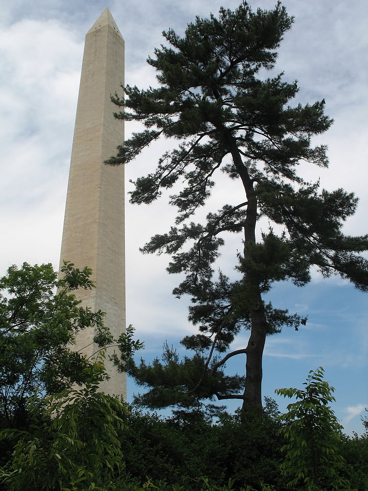 Washingtonův monument, historické, malebný, stromy, mraky, Památník, Turisté