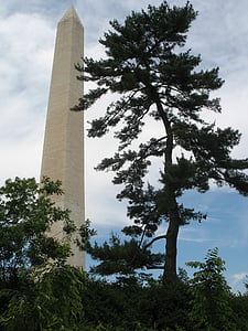 Washington spomenik, povijesne, slikovit, stabla, oblaci, spomen, turisti