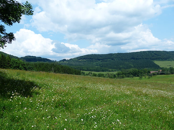 zi de vară, Schwäbische alb, Wenzel piatra, oile de munte, comună, alb elena, excursie pe jos
