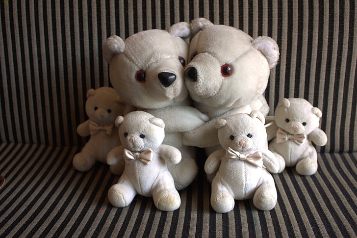 玩具熊, 毛绒玩具, 泰迪, 熊, 快乐, 家庭, 白色
