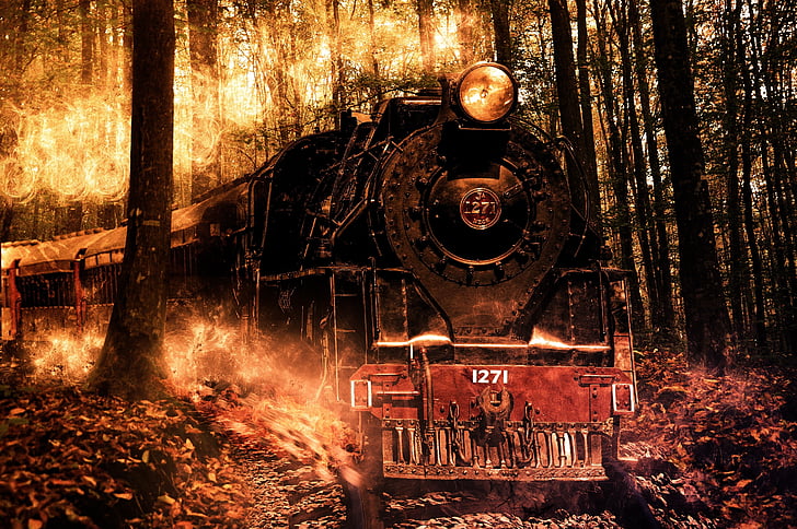 Juoda, raudona, traukinys, viduryje, miško, fantazija, gaisro