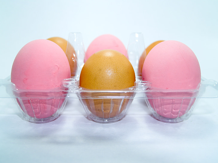 quả trứng, màu hồng, thị trường, cẩn, cholesterol, Bữa ăn, nông nghiệp
