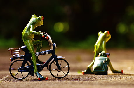 カエル, 別れ, 自転車, トロリー, 旅行, かわいい, カエル