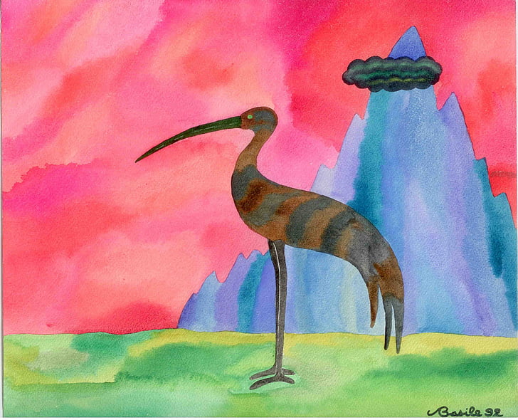watercolor, ibis, painting, bird, animal, drawing, artwork