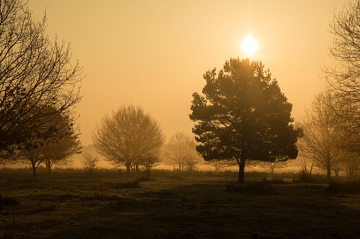 morgenstimmung, Heide, Wahner païen, lever du soleil, Hazy, brumeux, brouillard