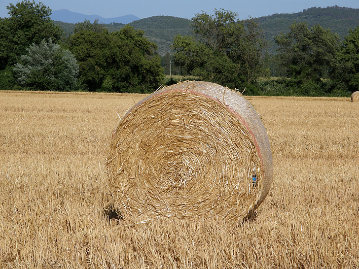 straw, nature, fields, tuscany, landscape