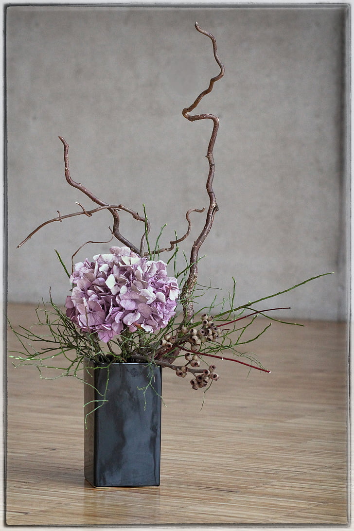 Ikebana, flor, bellesa, Japó, planta, asiàtic, floral art