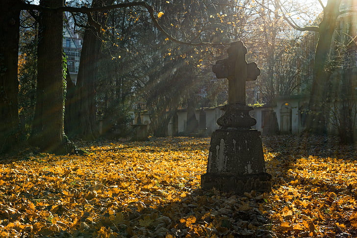 jeseň, jesenné lístie, jesenné svetlo, cintorín, kríž, smrť, jeseň