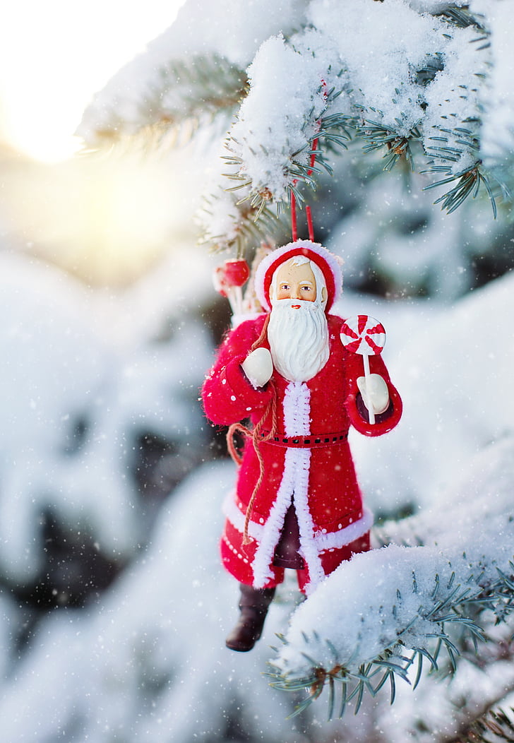 santa ornament, snowy tree, snow, pine, spruce tree, winter, christmas