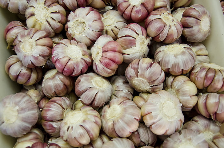 garlic, condiments, seasoning