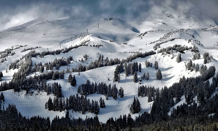 Mt. hood, Oregon, prati, inverno, neve, foresta, alberi