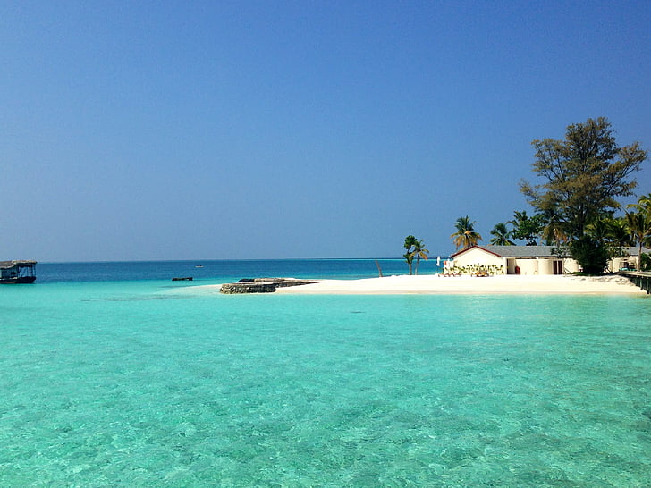 παραλία, Μαλδίβες, στη θάλασσα, νερό, νησί, διακοπές, το καλοκαίρι