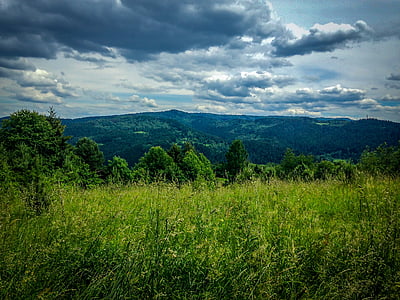 muszyna, mountains, holiday, meadow, summer, nature, view