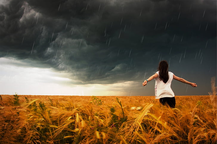 žena, biela, tričko, pšenica, pole, búrka, prší