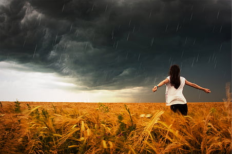 Žena, bílá, košile, pšenice, pole, bouře, prší