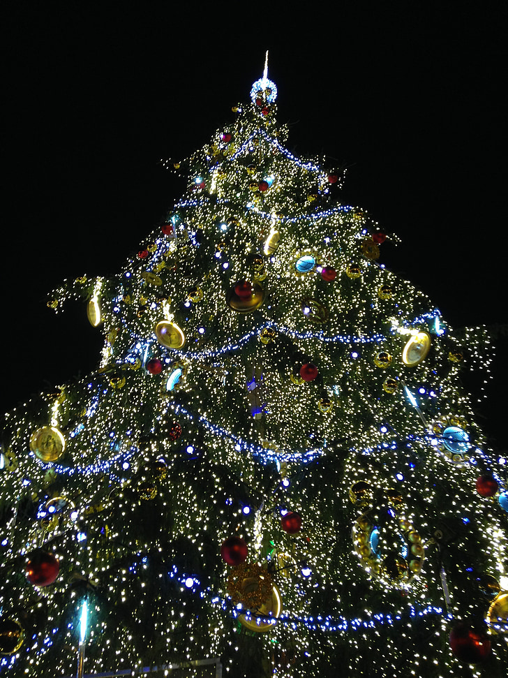 Vánoční strom, Vánoční čas, Vánoční, Praha