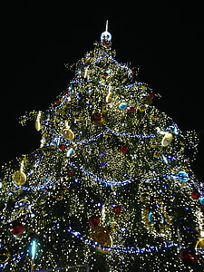 kerstboom, Kersttijd, Kerst, Praag