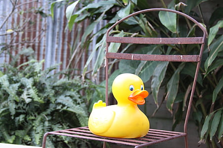 rubber duck, chair, iron, rubber, duck, toys, garden