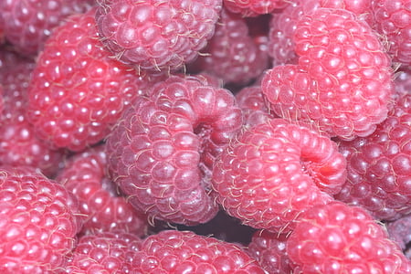 raspberries, berries, red, food, fruit, fruits