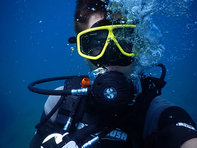 plongée sous-marine, plongeurs, sous l’eau, nager