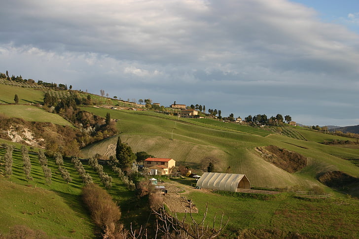 Toscana, landskap, Panorama, Cypress, vidare till Toscana, Outlook
