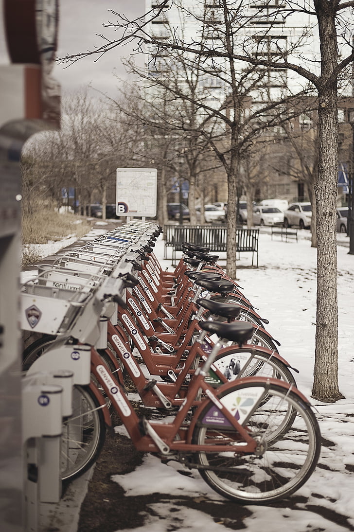Các loại, xe đạp, xe đạp, nhà để xe, thành phố, tuyết, mùa đông