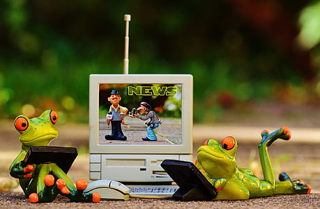 žaby, počítač, Novinky, laptop, smiešny, milý, obrázok