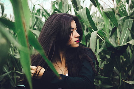 beautiful, corn field, model, person, plants, portrait, woman