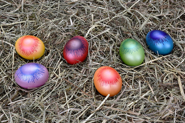 oeufs de Pâques, Pâques, oeuf, décoration, décoration de Pâques, Joyeuses Pâques, coloré