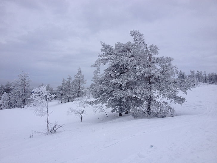 Ylläs, Lappland, Schnee