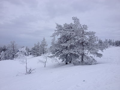 Ylläs, Lappland, snö