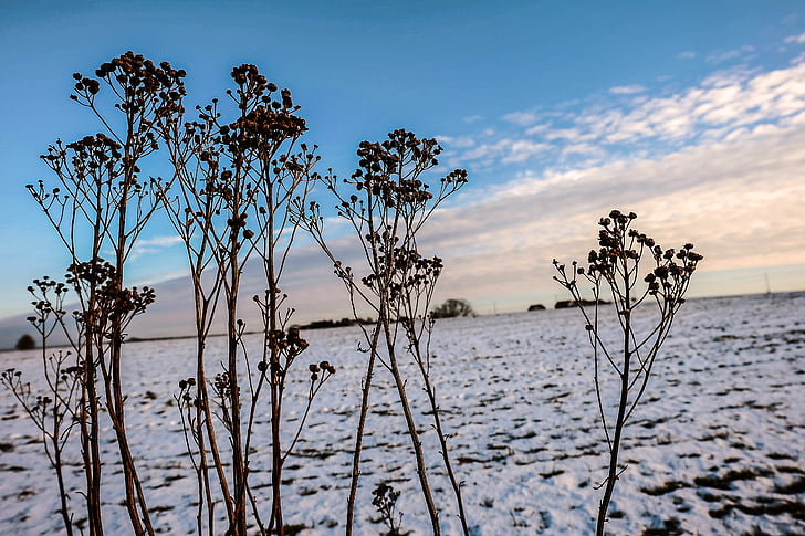 winter, clouds, sky, landscape